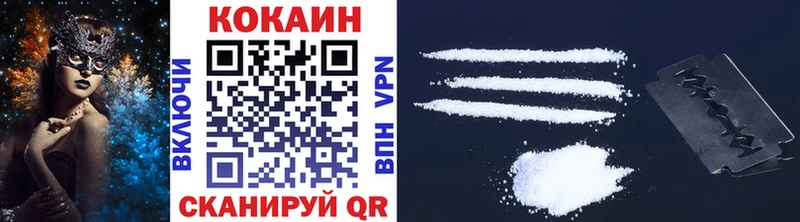 Купить закладки  Оленегорск  COCAIN Fish Scale 