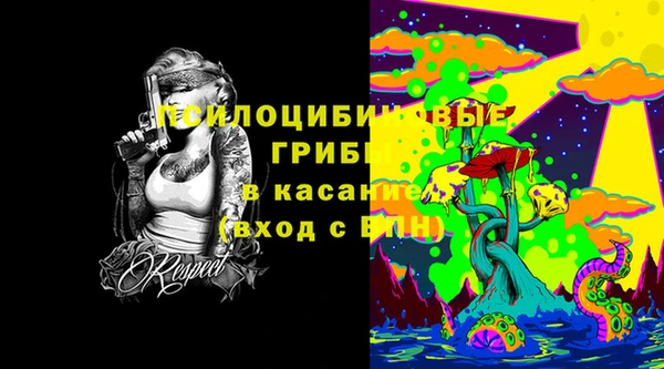 ECSTASY Ладушкин