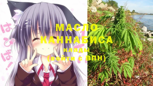 ECSTASY Ладушкин